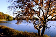 photo 0153